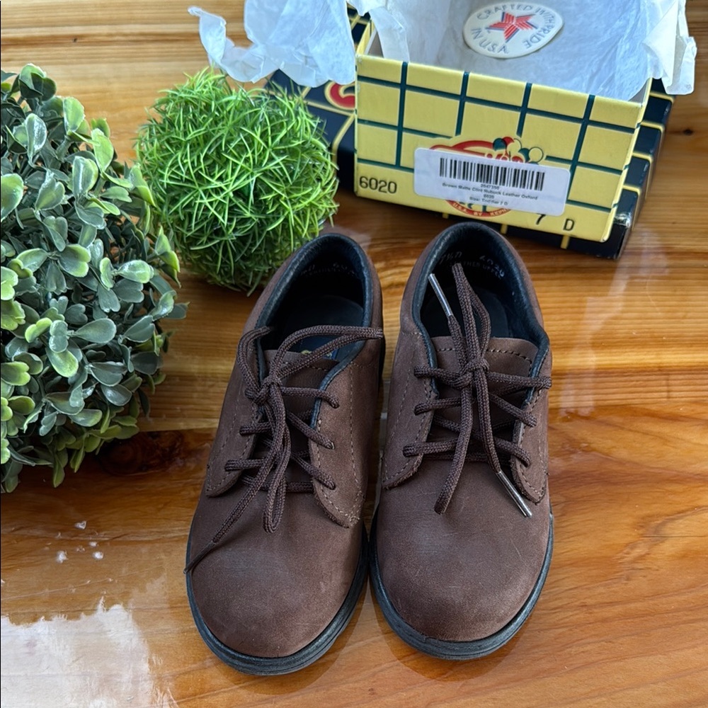 Brown Dress Shoes with Suede Finish and Oxford Style